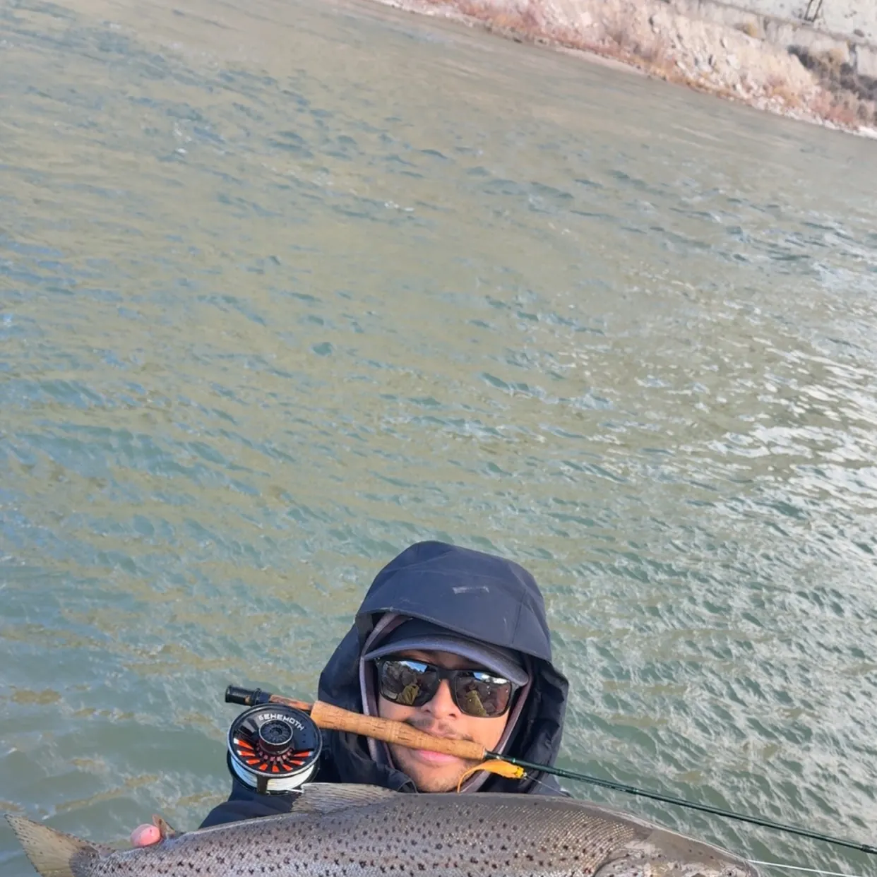 The most recent Sea trout catches on Fishbrain