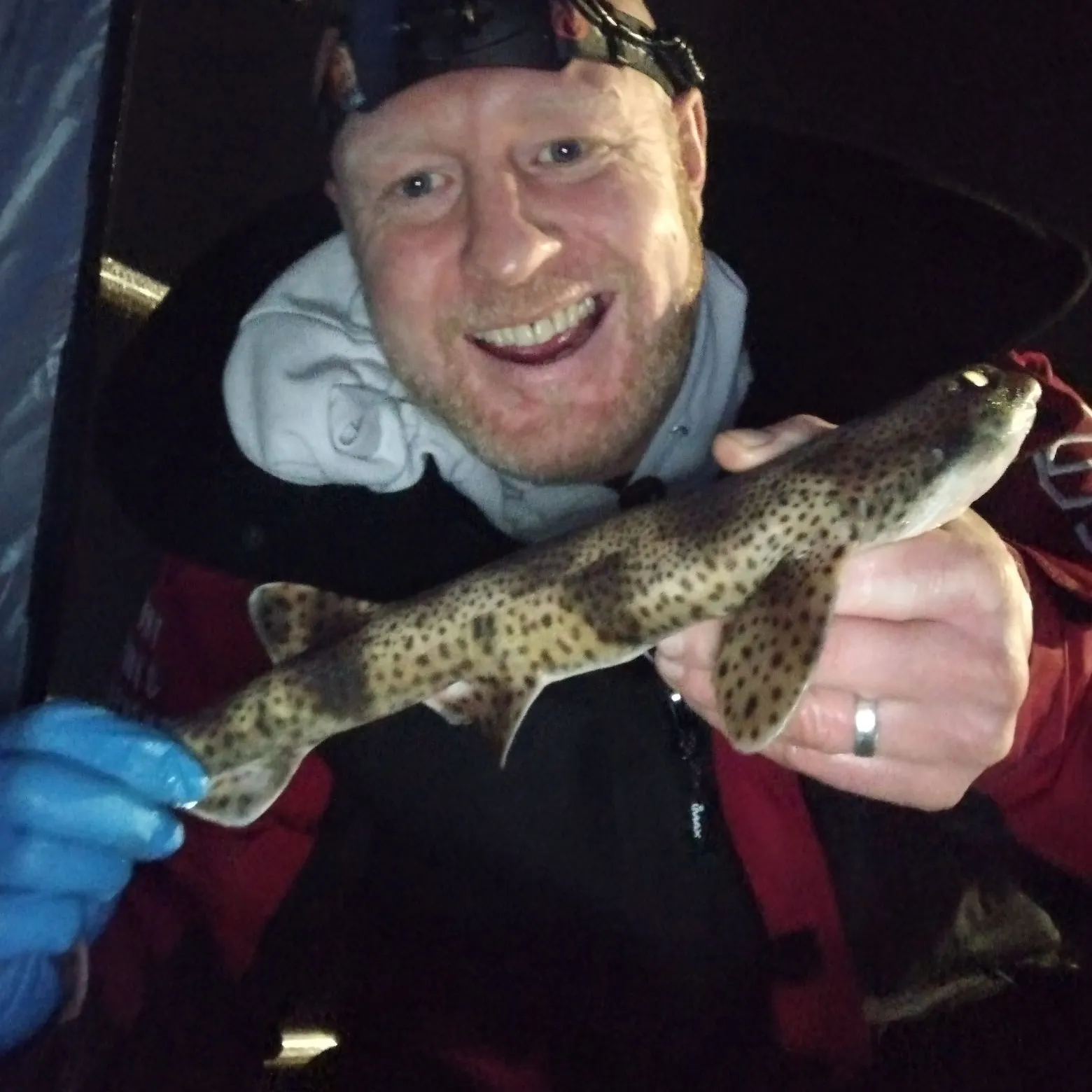 The most recent Lesser spotted dogfish catches on Fishbrain