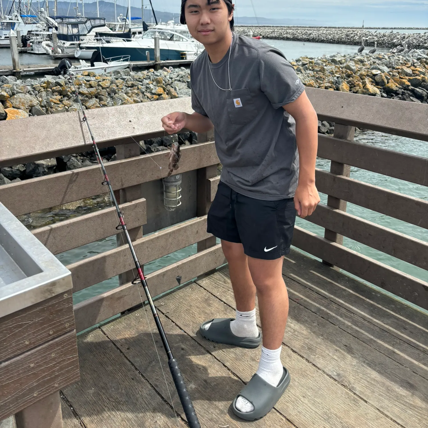 The most recent Grass rockfish catches on Fishbrain