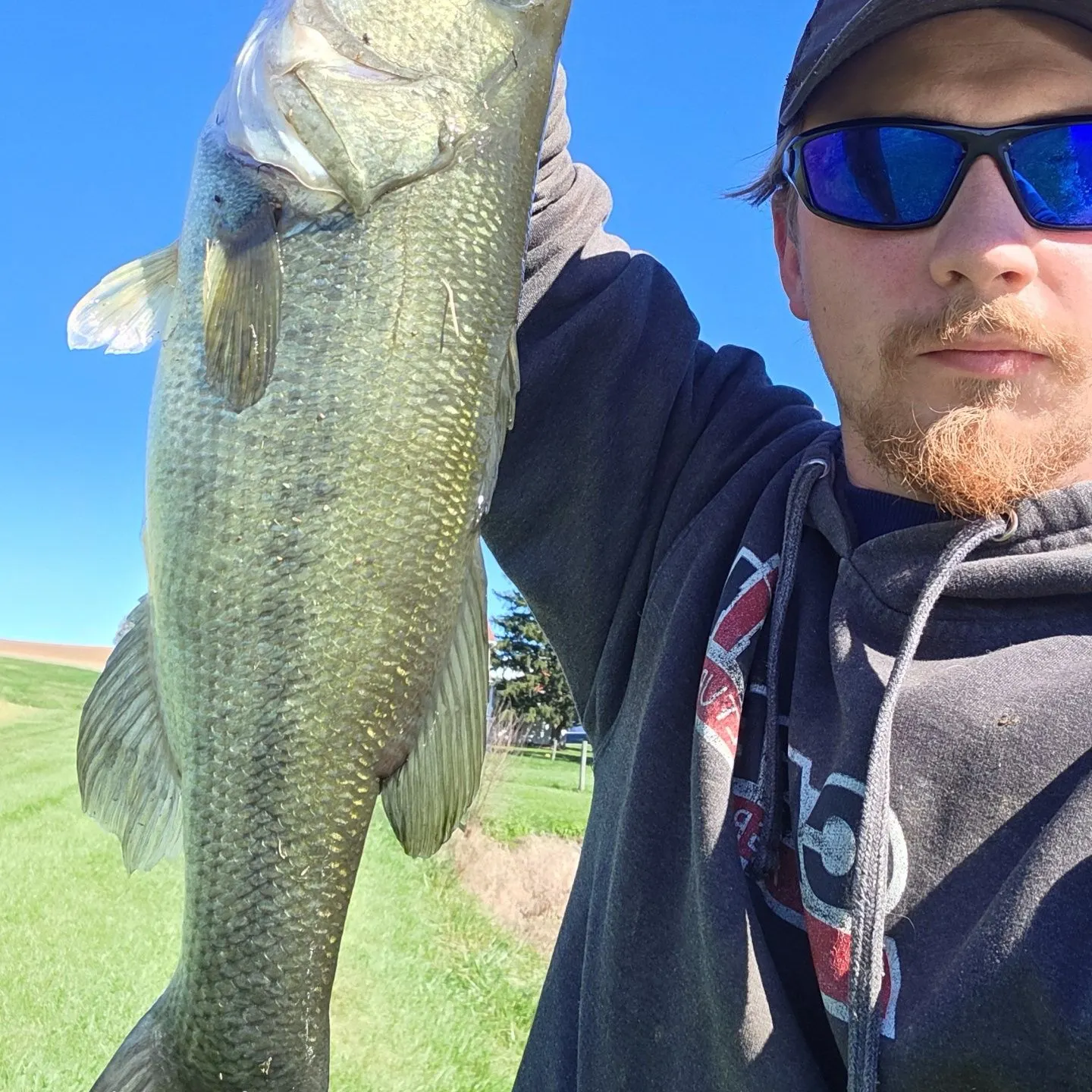 Largemouth bass caught on Fishbrain