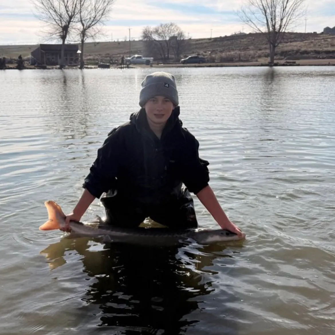 The most recent White sturgeon catches on Fishbrain