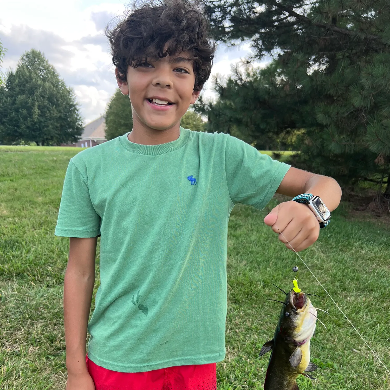 Yellow bullhead caught on Fishbrain