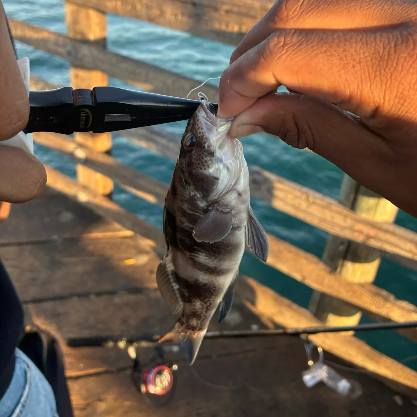 catch