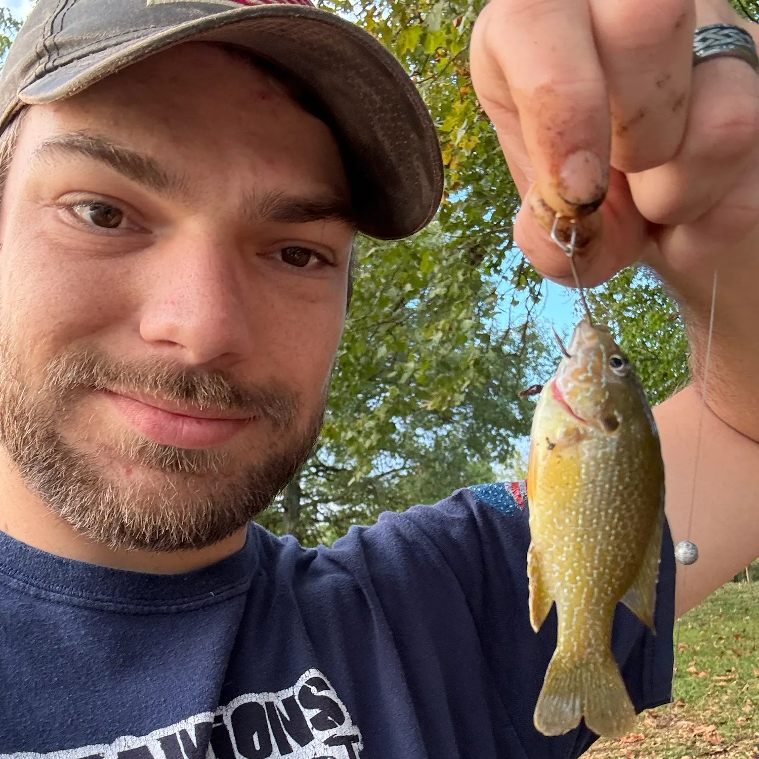 Green sunfish caught on Fishbrain