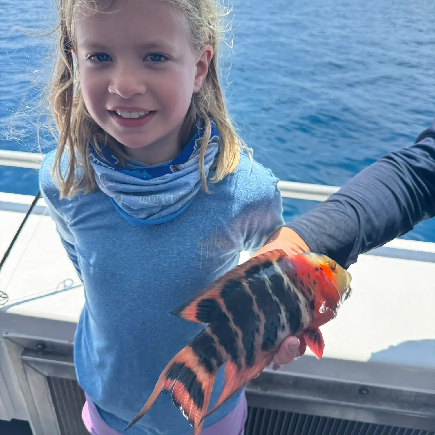 The most recent Ember parrotfish catches on Fishbrain