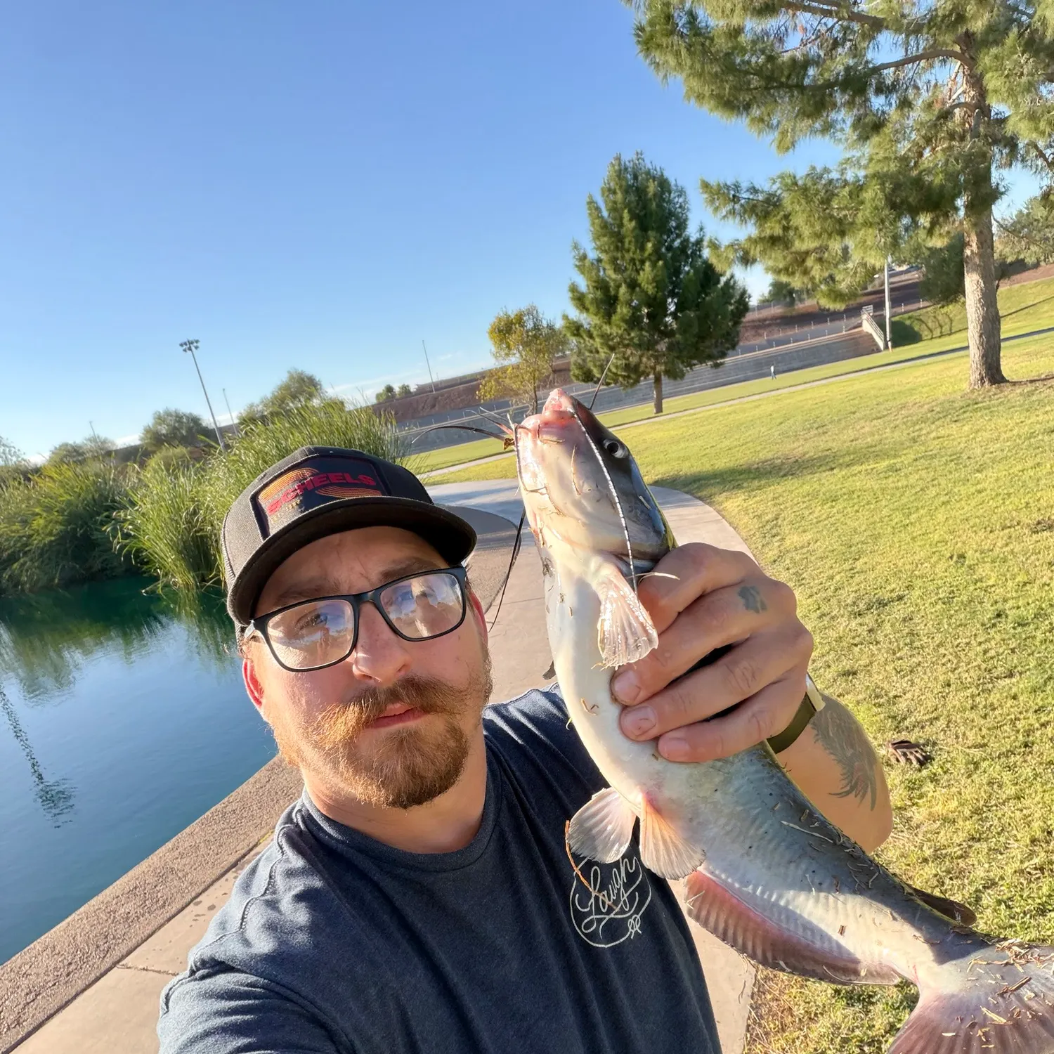 Channel catfish caught on Fishbrain