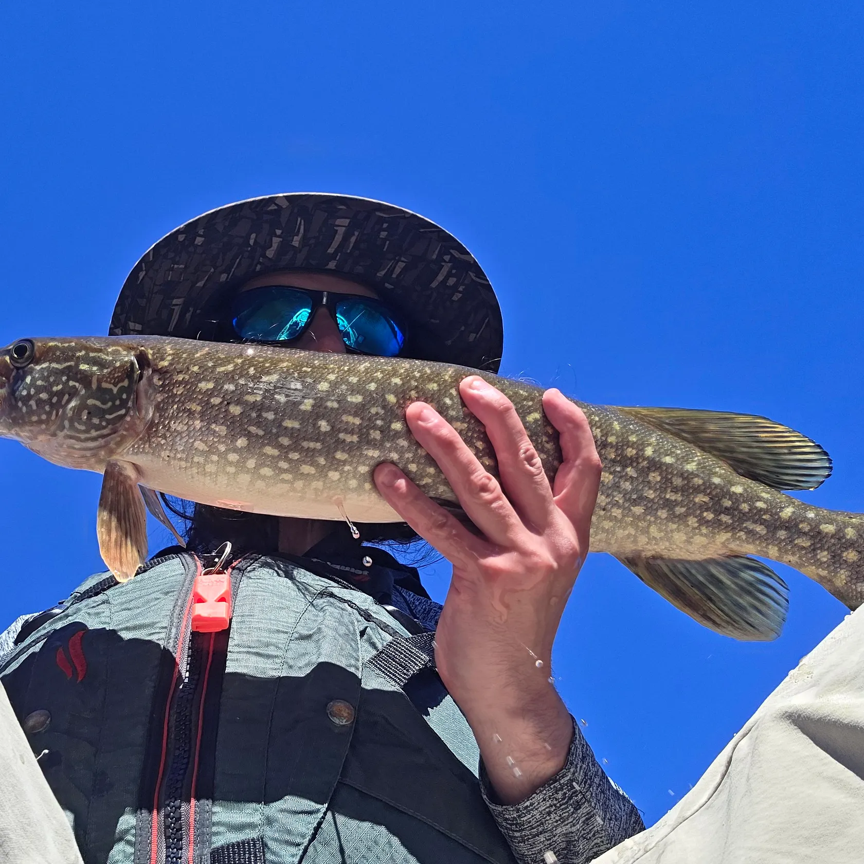 Northern pike caught on Fishbrain