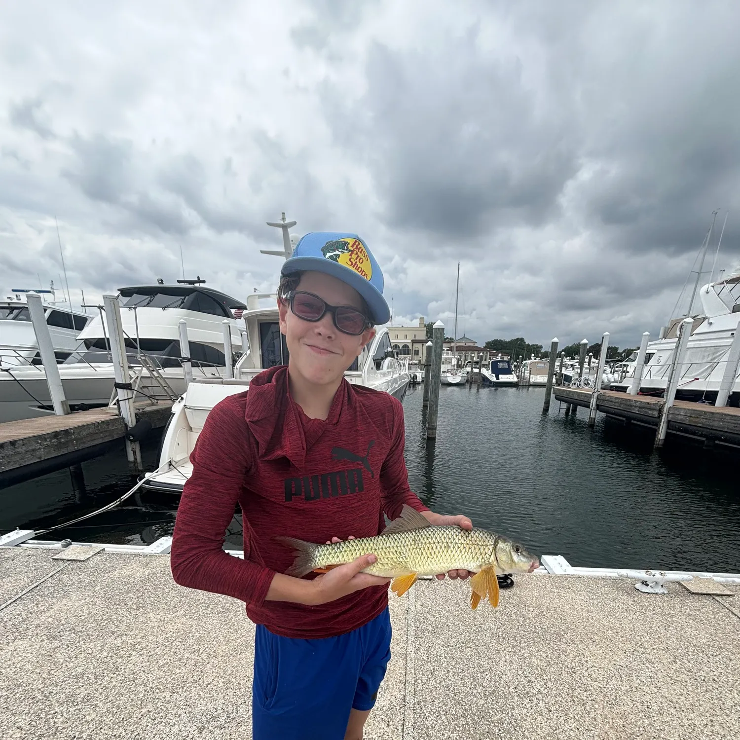 The most recent Shorthead redhorse catches on Fishbrain