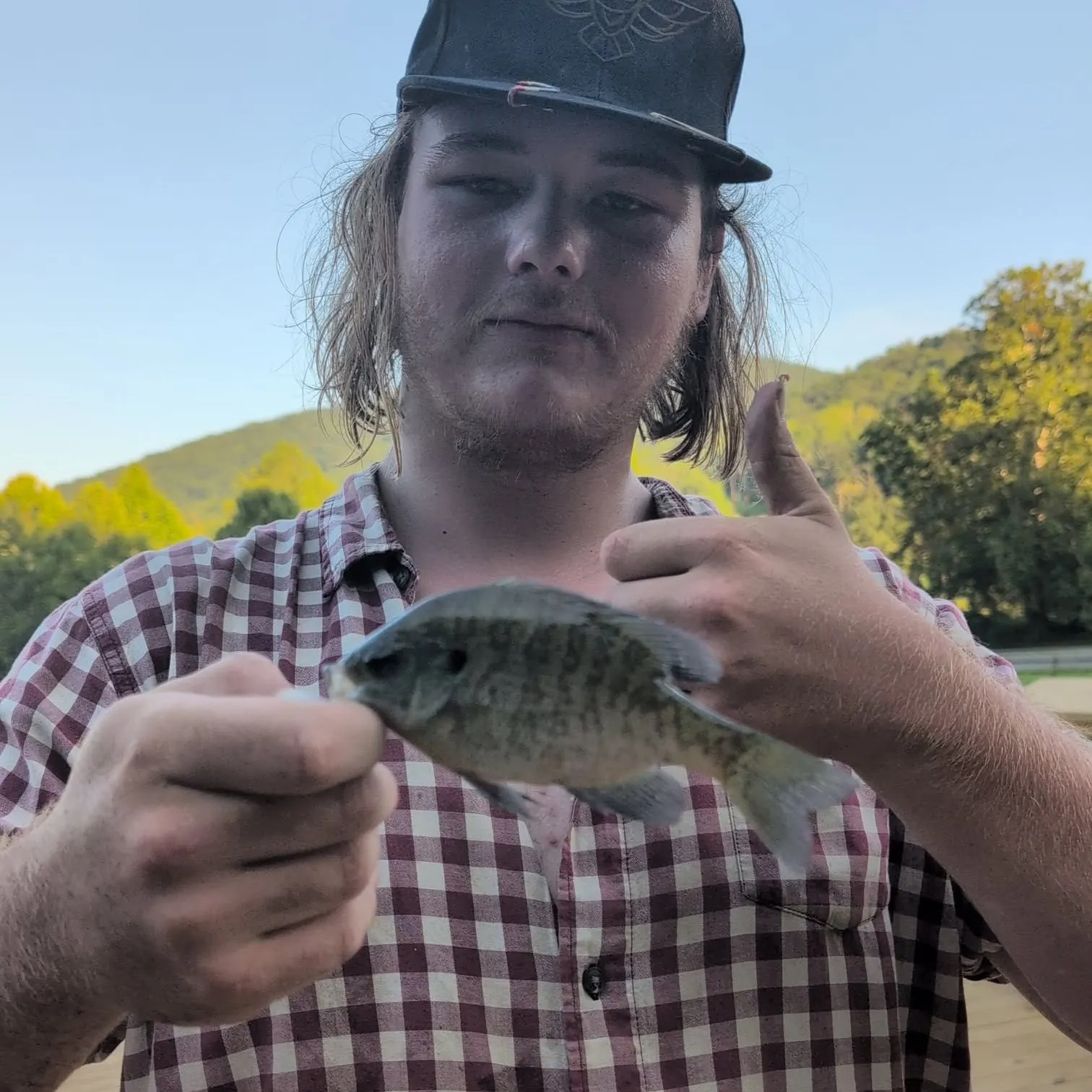 Bluegill caught on Fishbrain