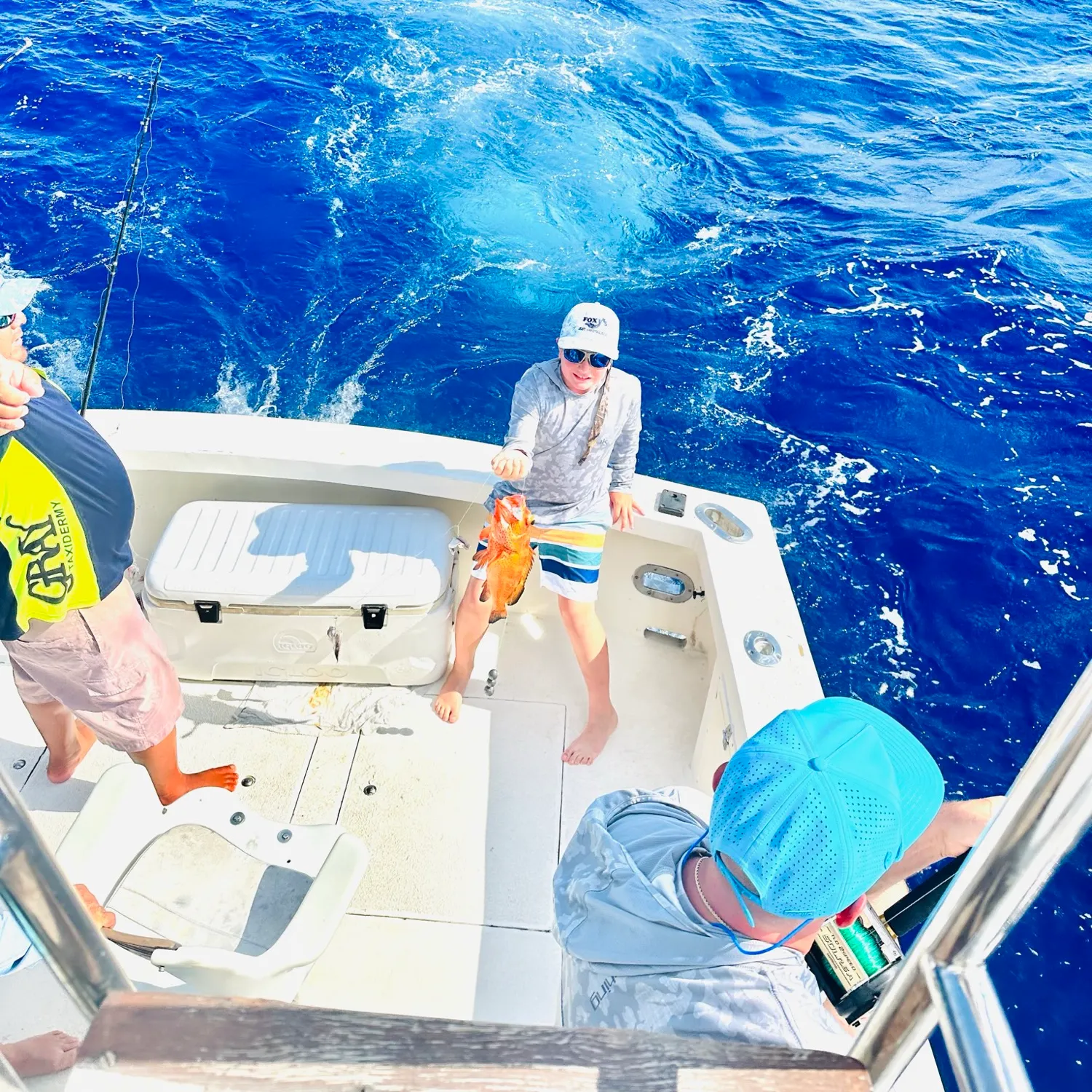 The most recent Coney grouper catches on Fishbrain