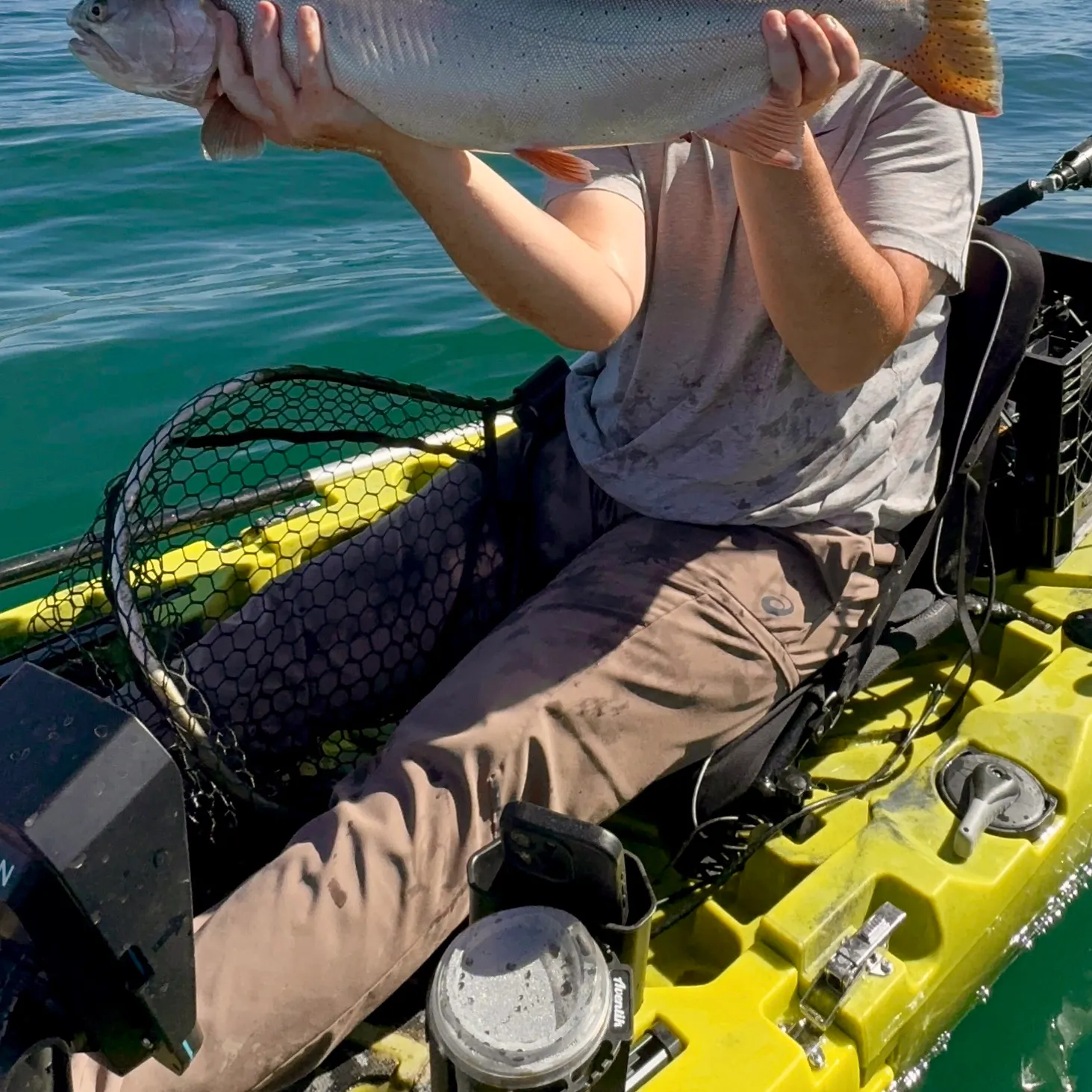 Lahontan cutthroat trout caught on Fishbrain