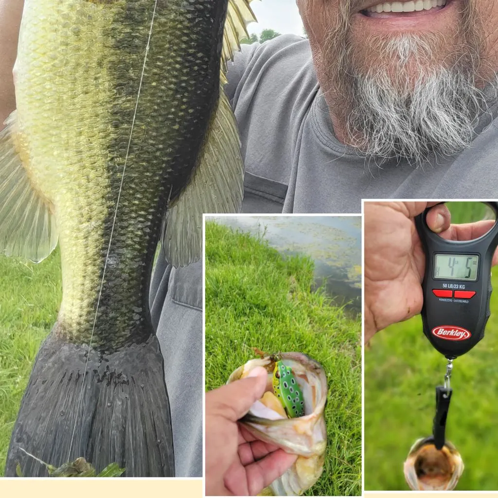 angler catch