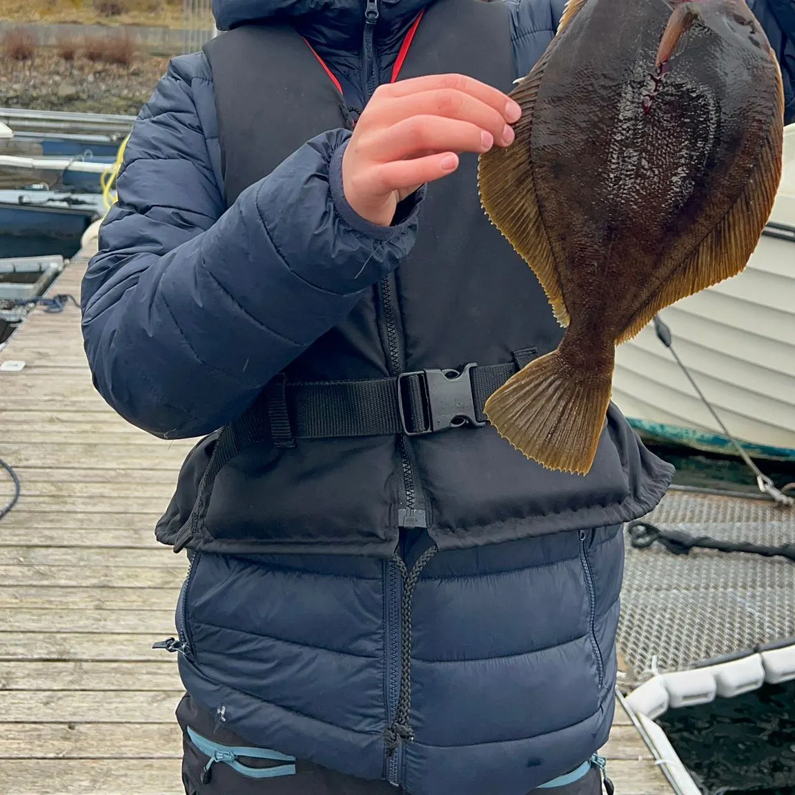 The most recent Witch flounder catches on Fishbrain