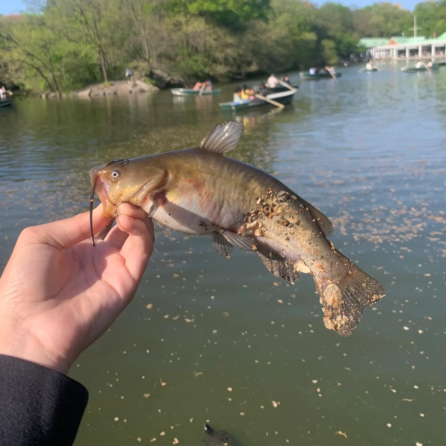 catch