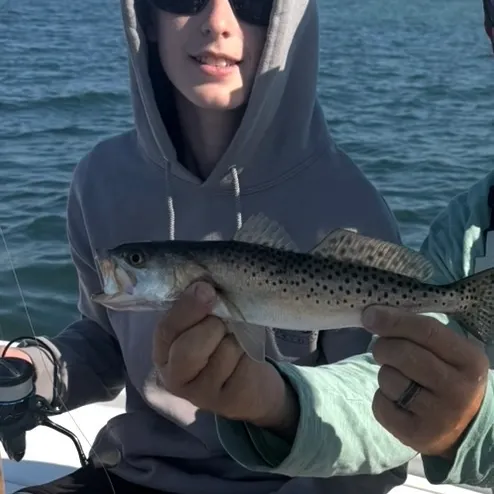 Spotted seatrout caught on Fishbrain