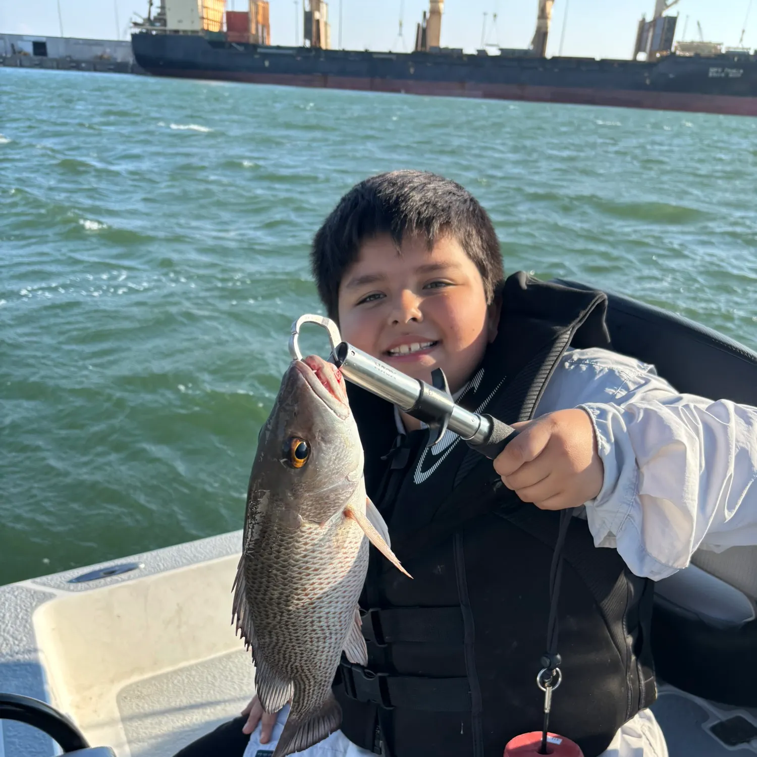 The most recent Mangrove snapper catches on Fishbrain