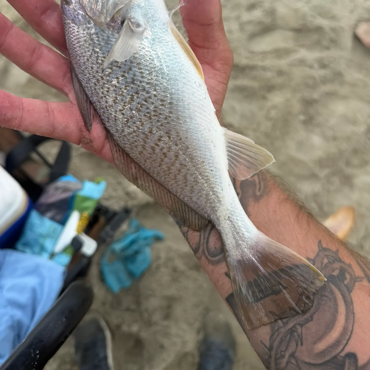 catch