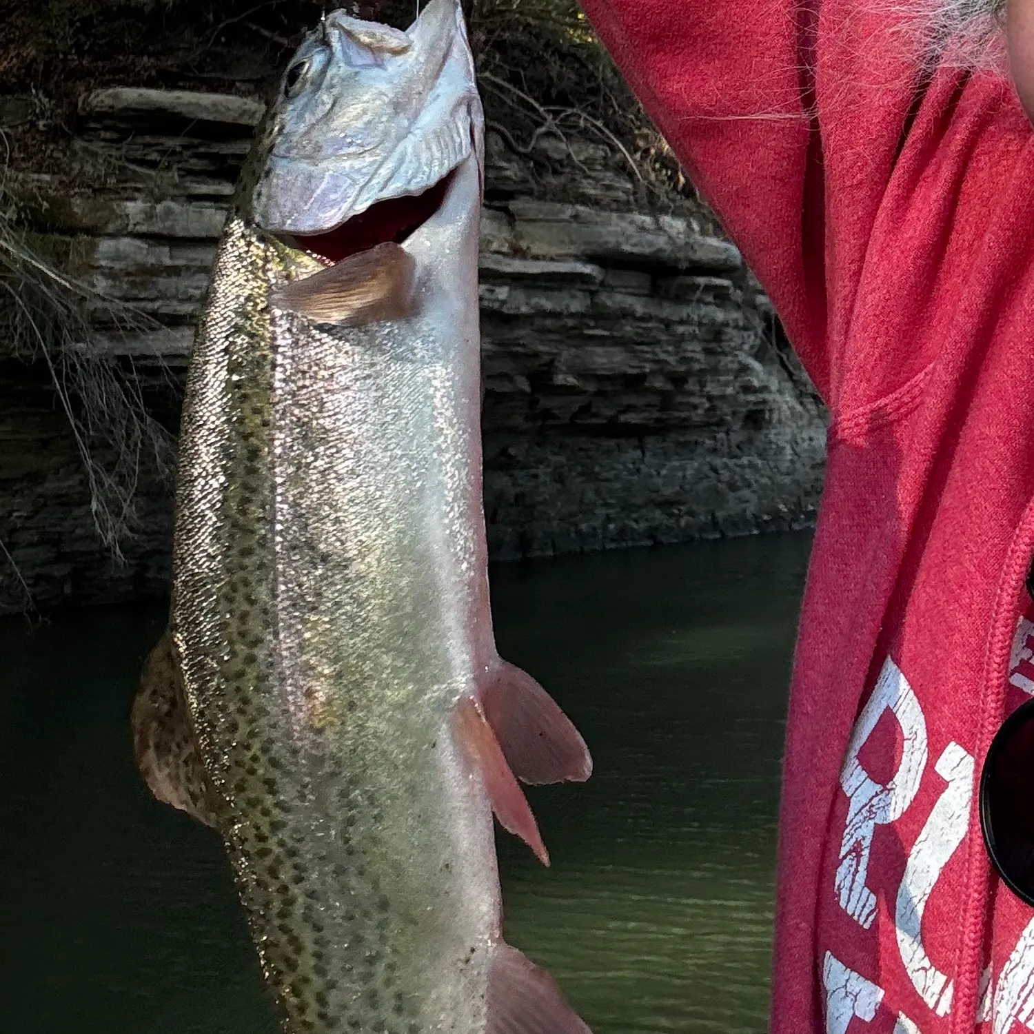 Rainbow trout caught on Fishbrain