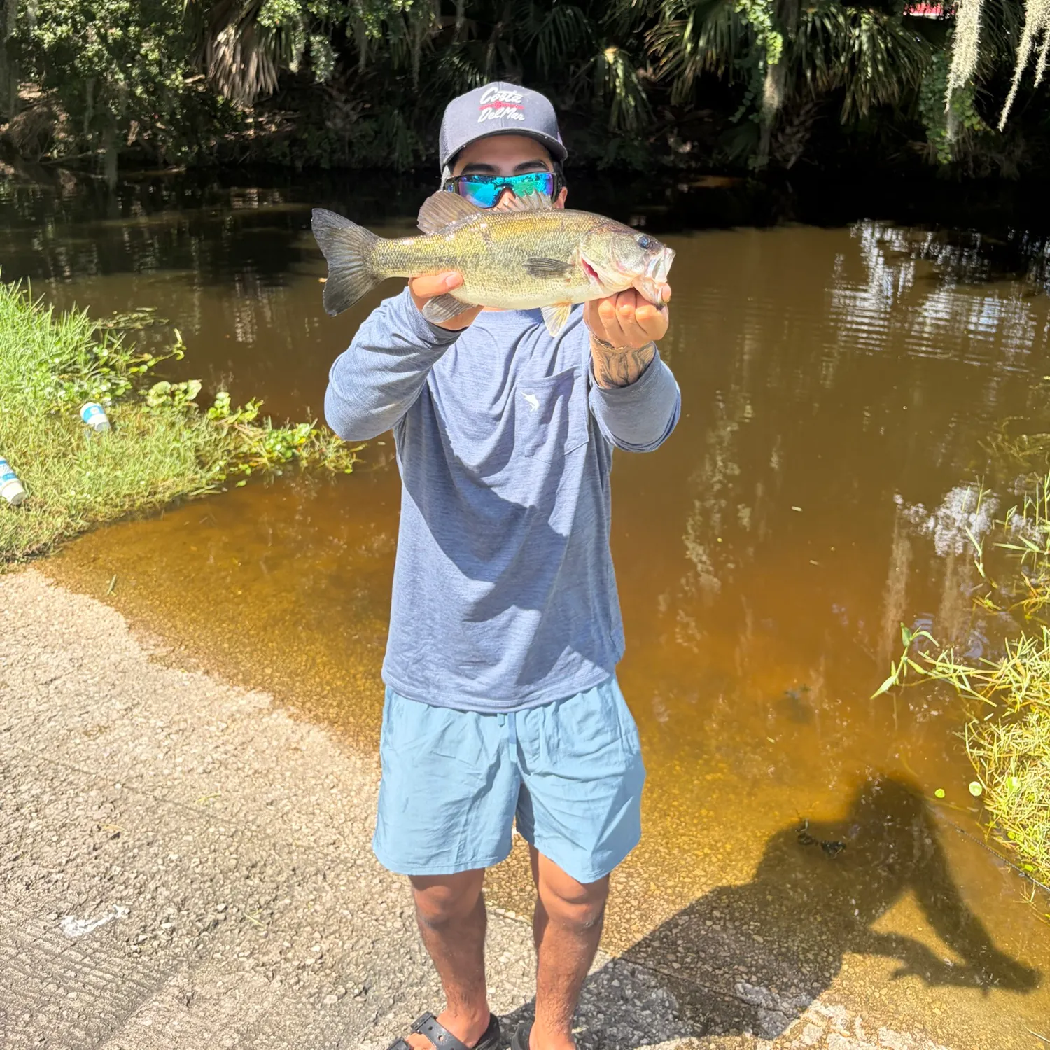 Largemouth bass caught on Fishbrain