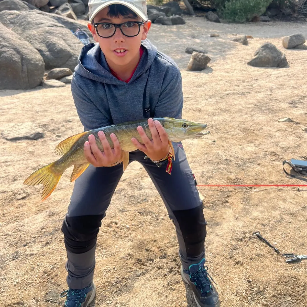 Northern pike caught on Fishbrain
