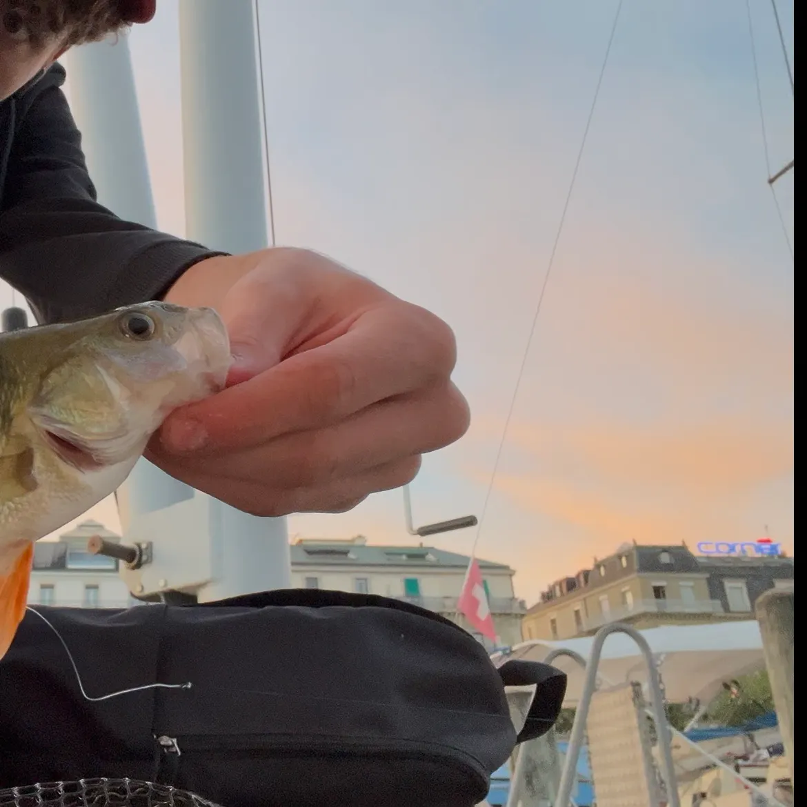 catch