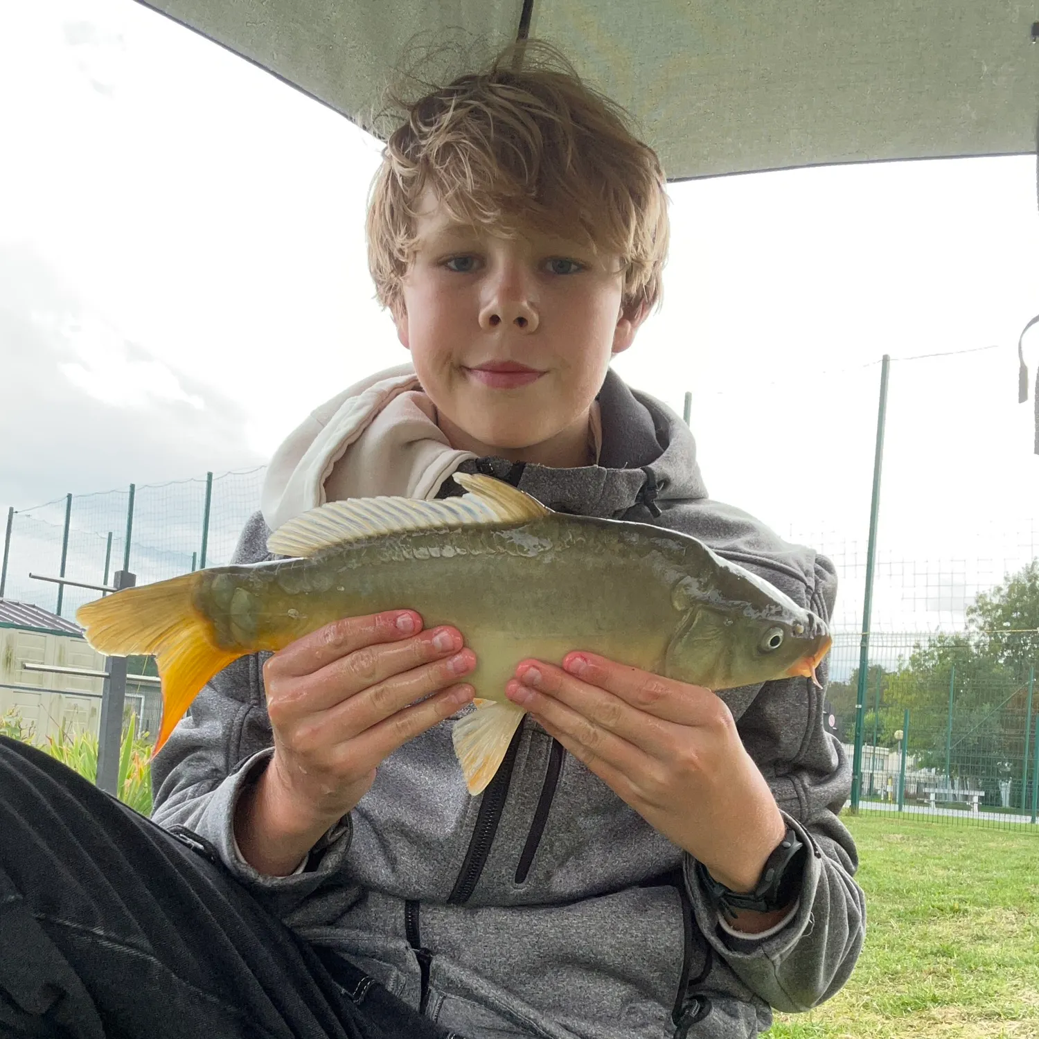 Leather carp caught on Fishbrain
