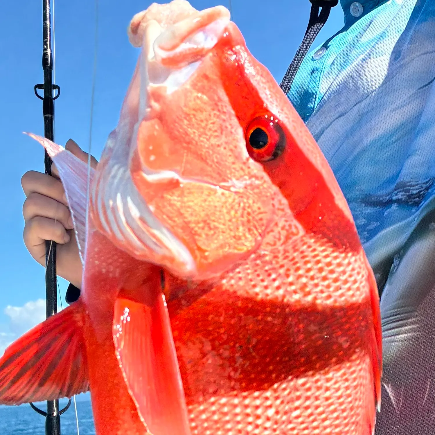 The most recent Emperor red snapper catches on Fishbrain