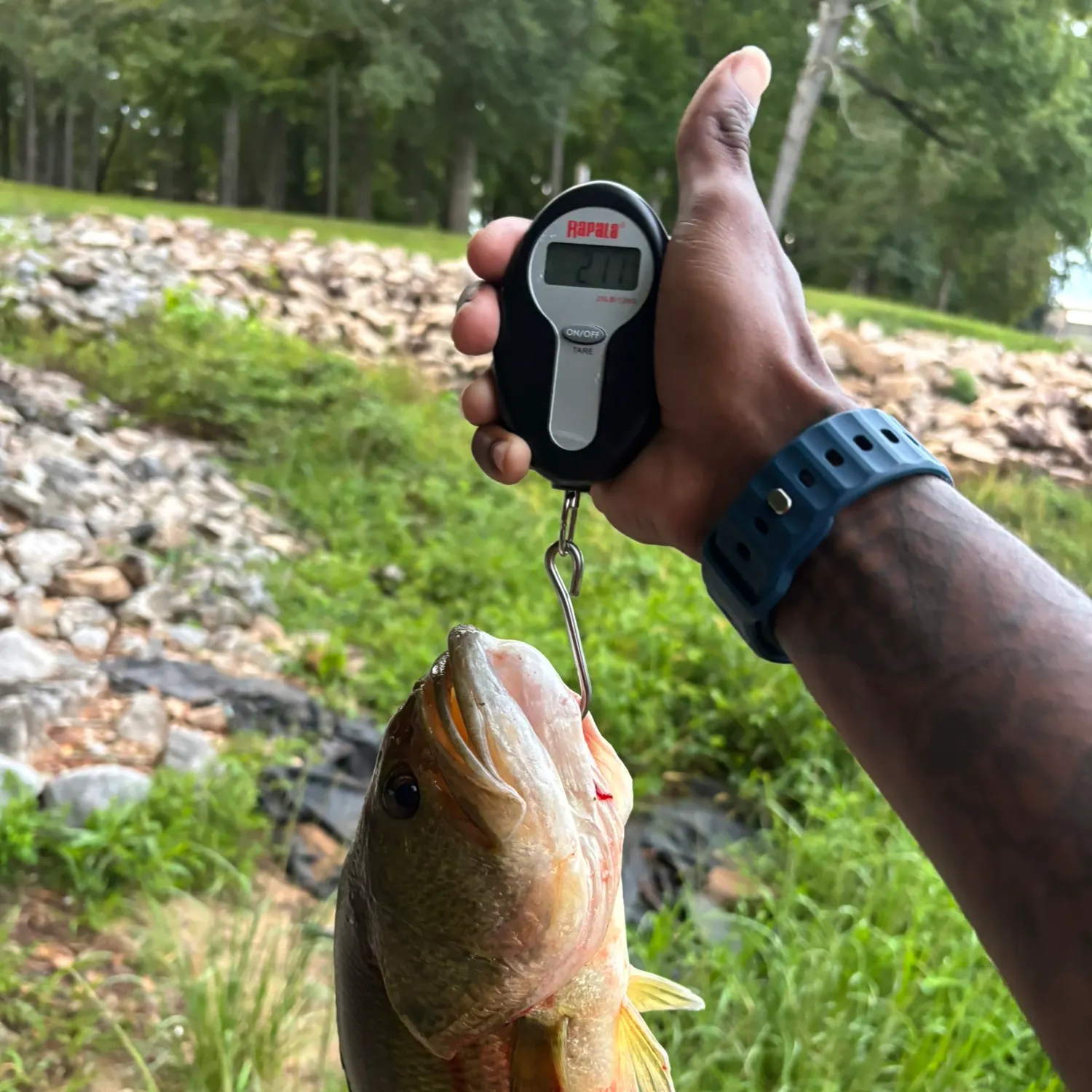 catch
