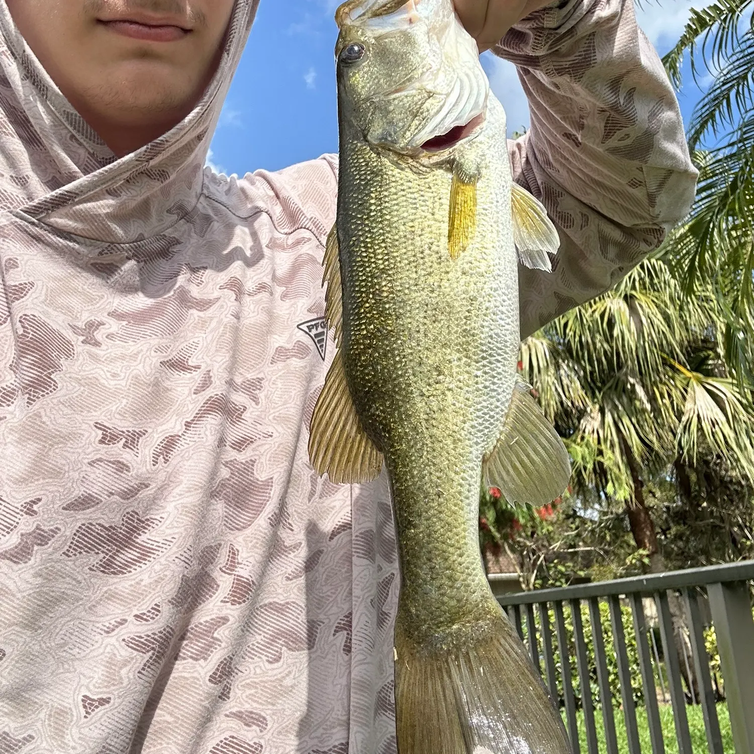 angler catch