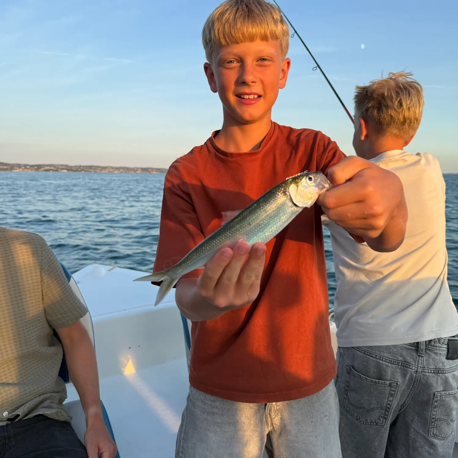 The most recent Twait shad catches on Fishbrain