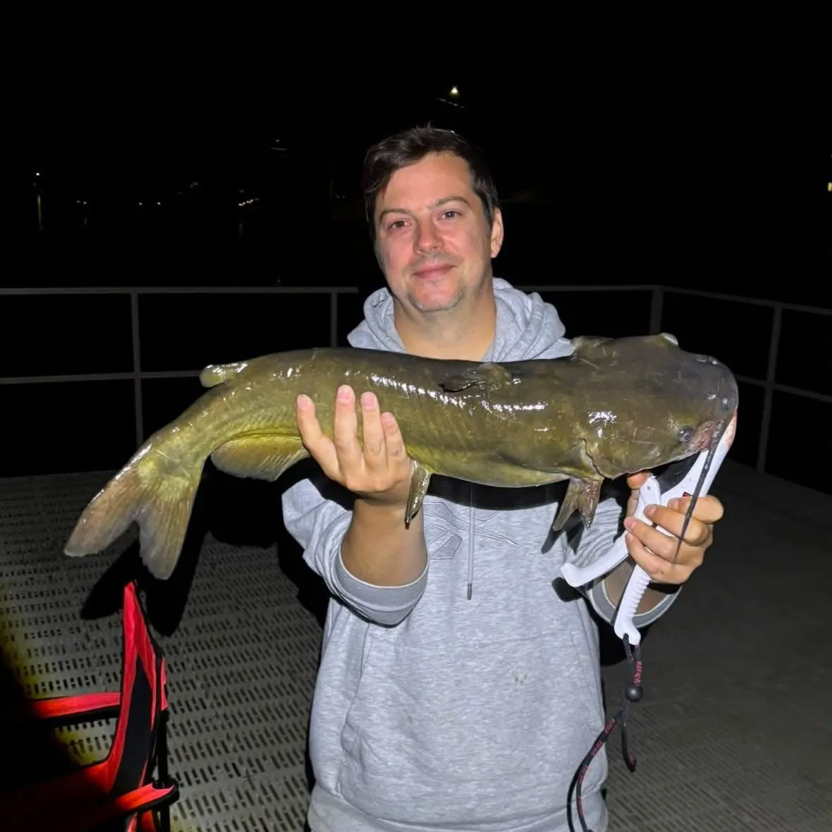 Channel catfish caught on Fishbrain