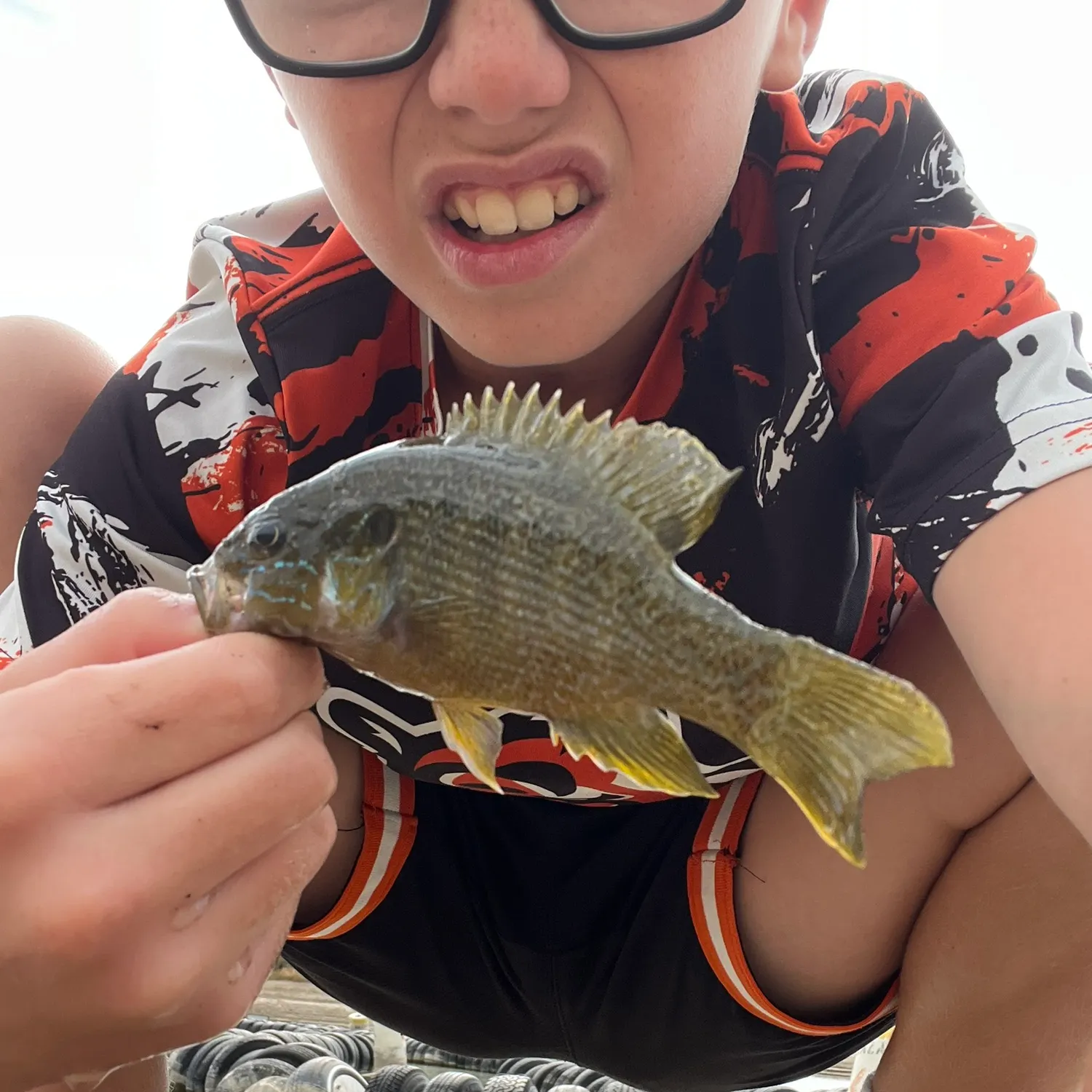 Green sunfish caught on Fishbrain
