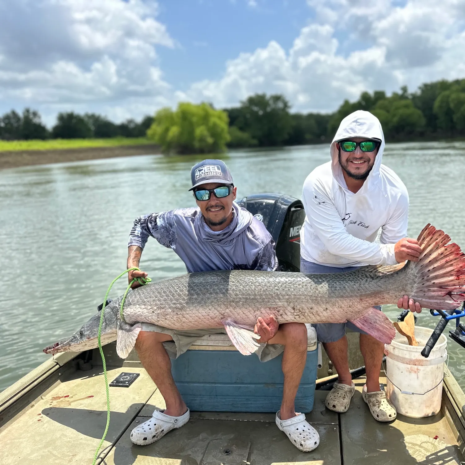 The most recent Alligator gar catches on Fishbrain