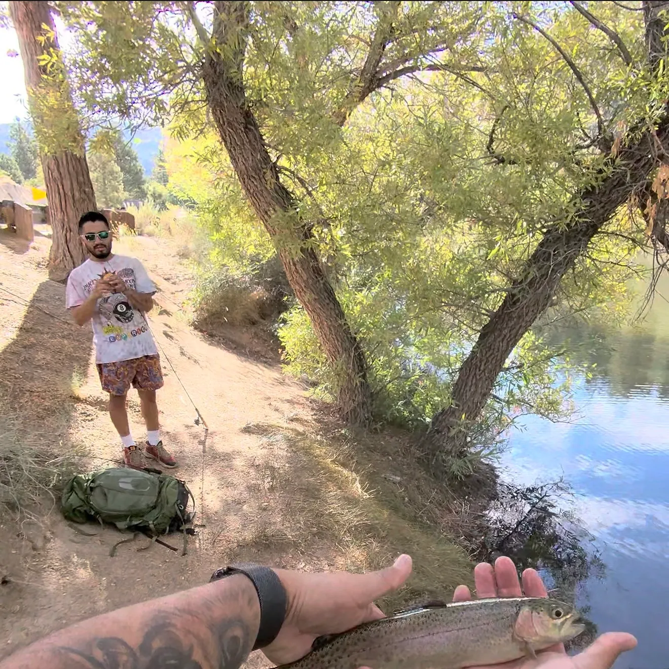 Rainbow trout caught on Fishbrain