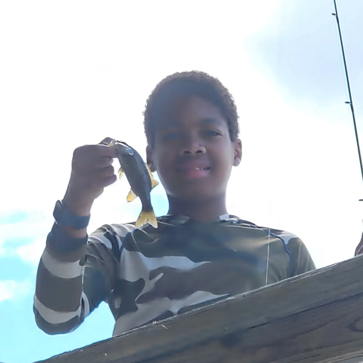 Smallmouth bass caught on Fishbrain