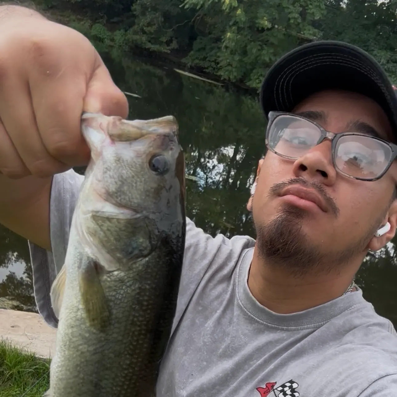 Largemouth bass caught on Fishbrain