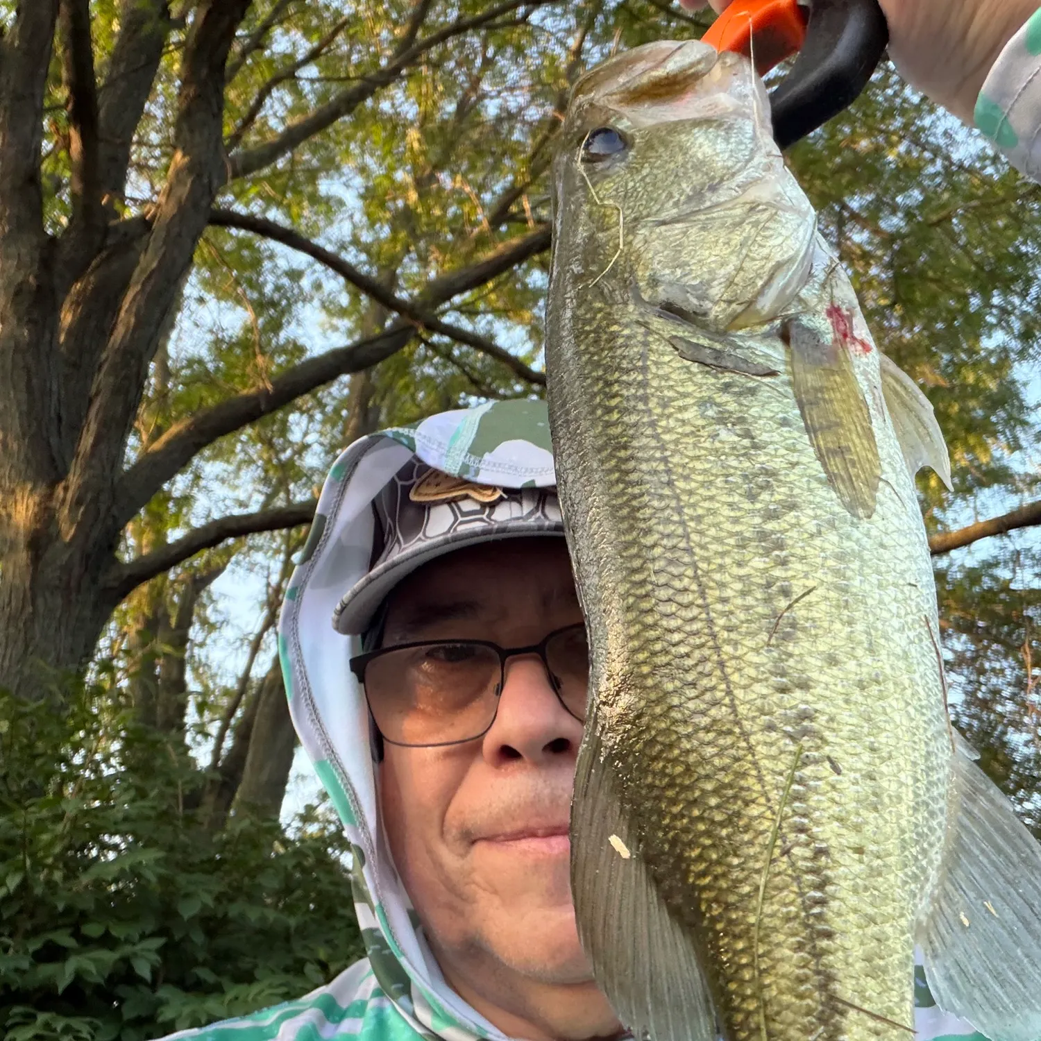 Largemouth bass caught on Fishbrain