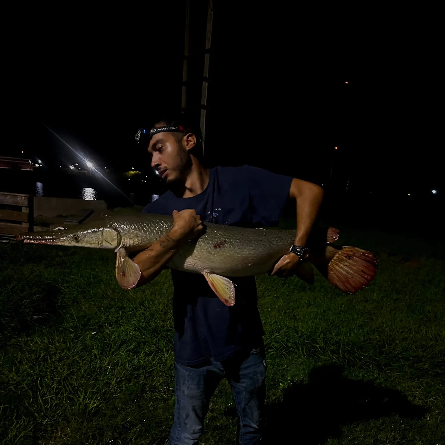 Alligator gar caught on Fishbrain