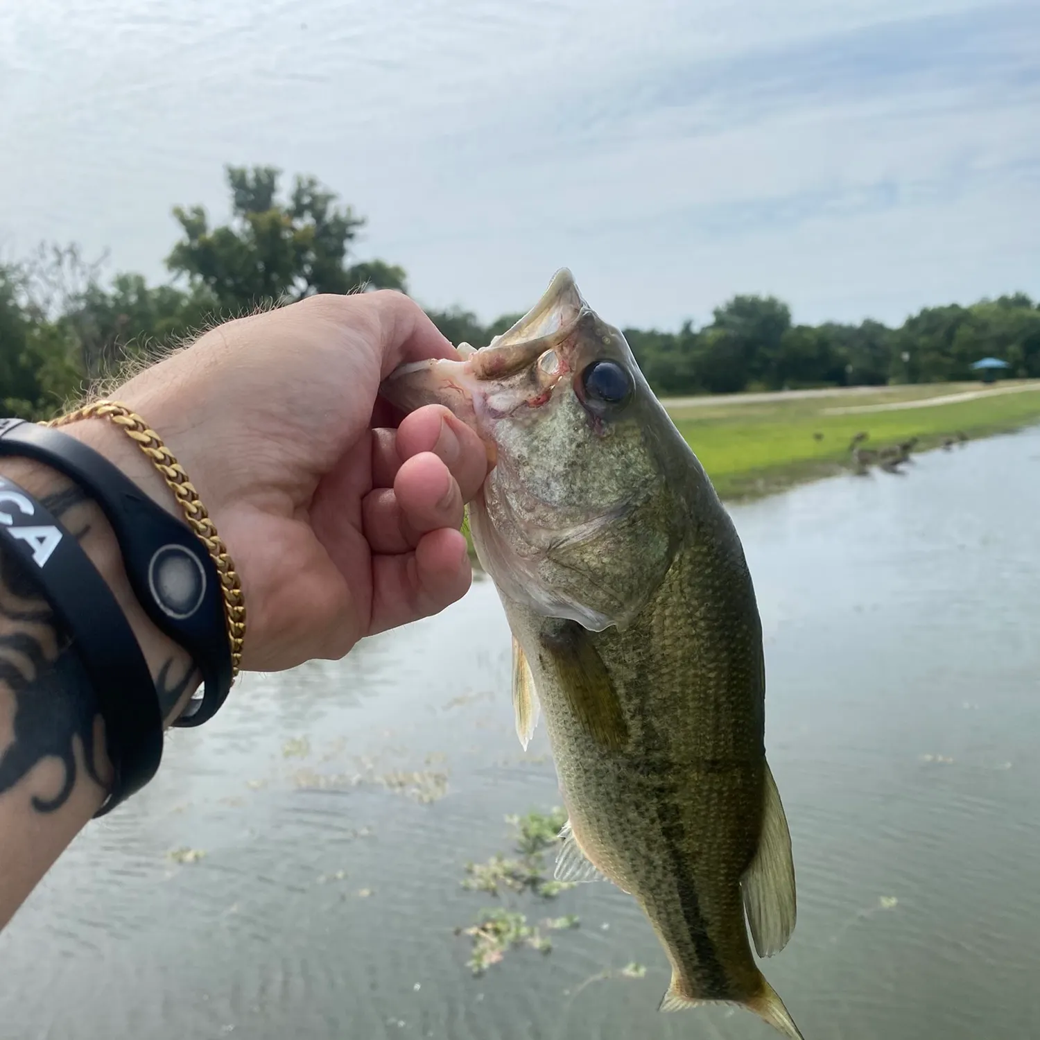 catch