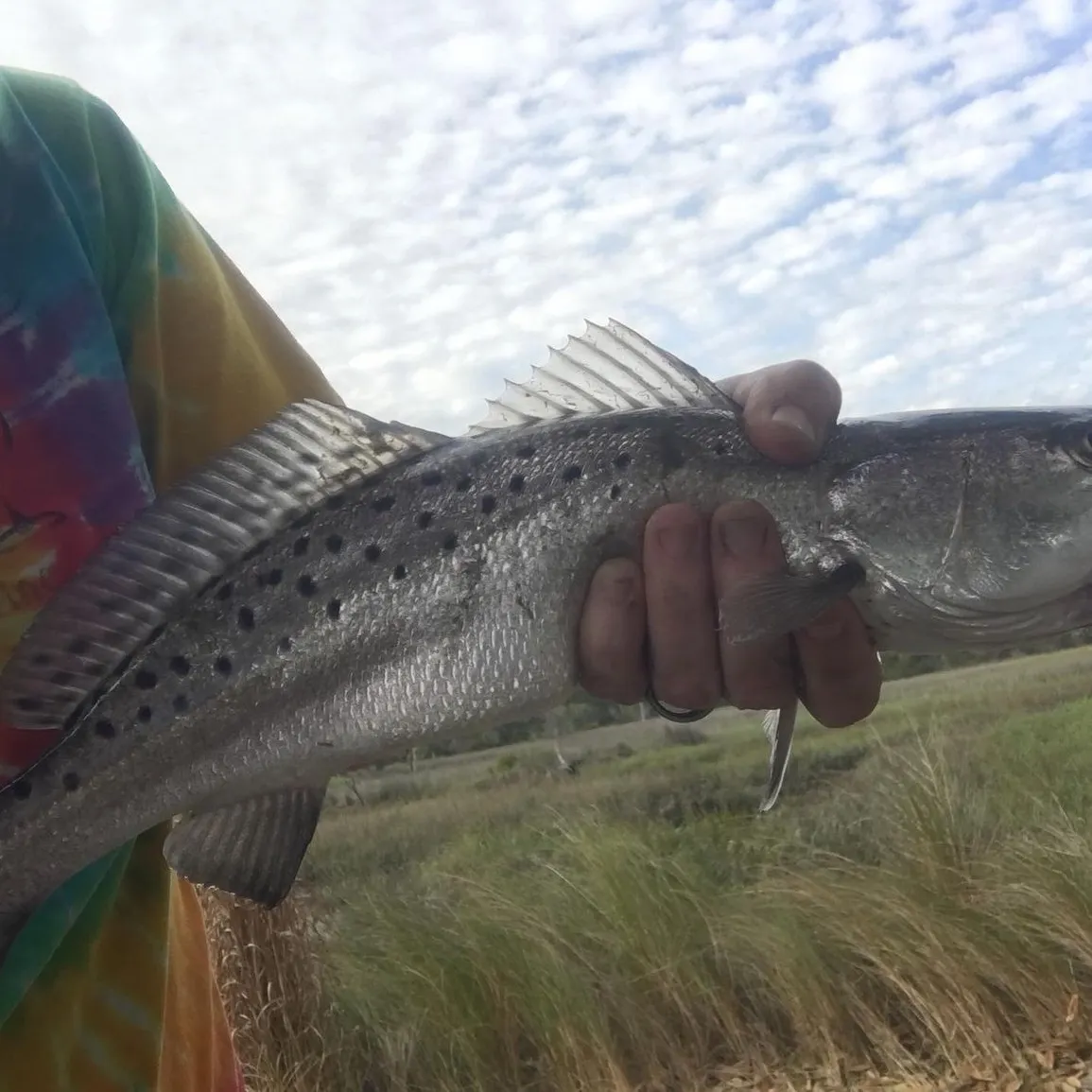 angler catch