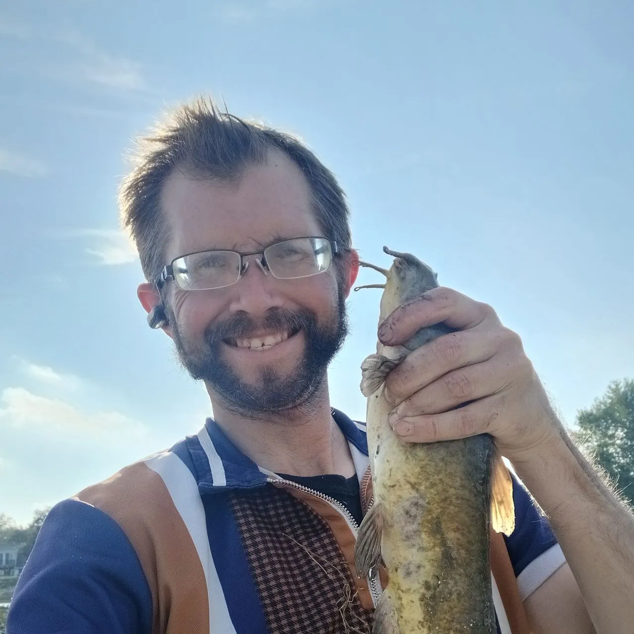 Yellow bullhead caught on Fishbrain