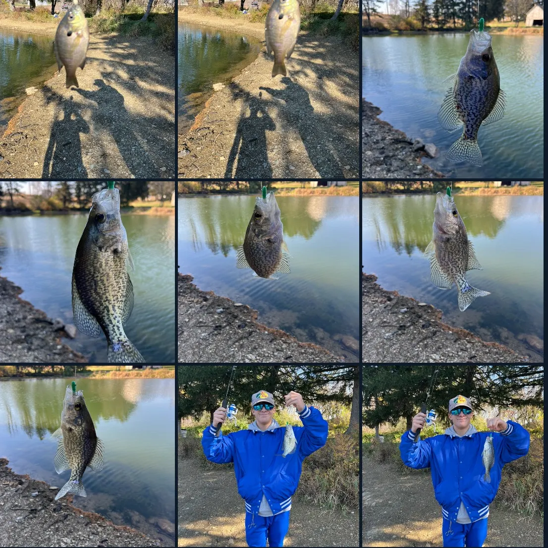 recently logged catches