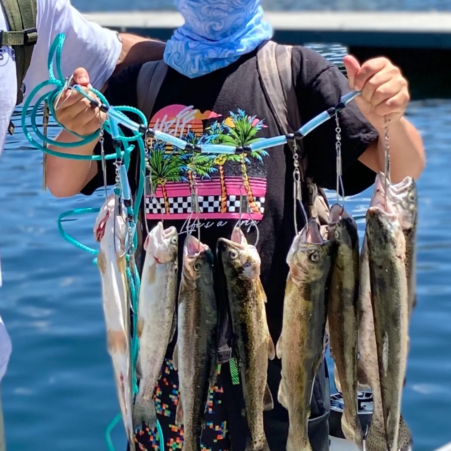 Rainbow trout caught on Fishbrain