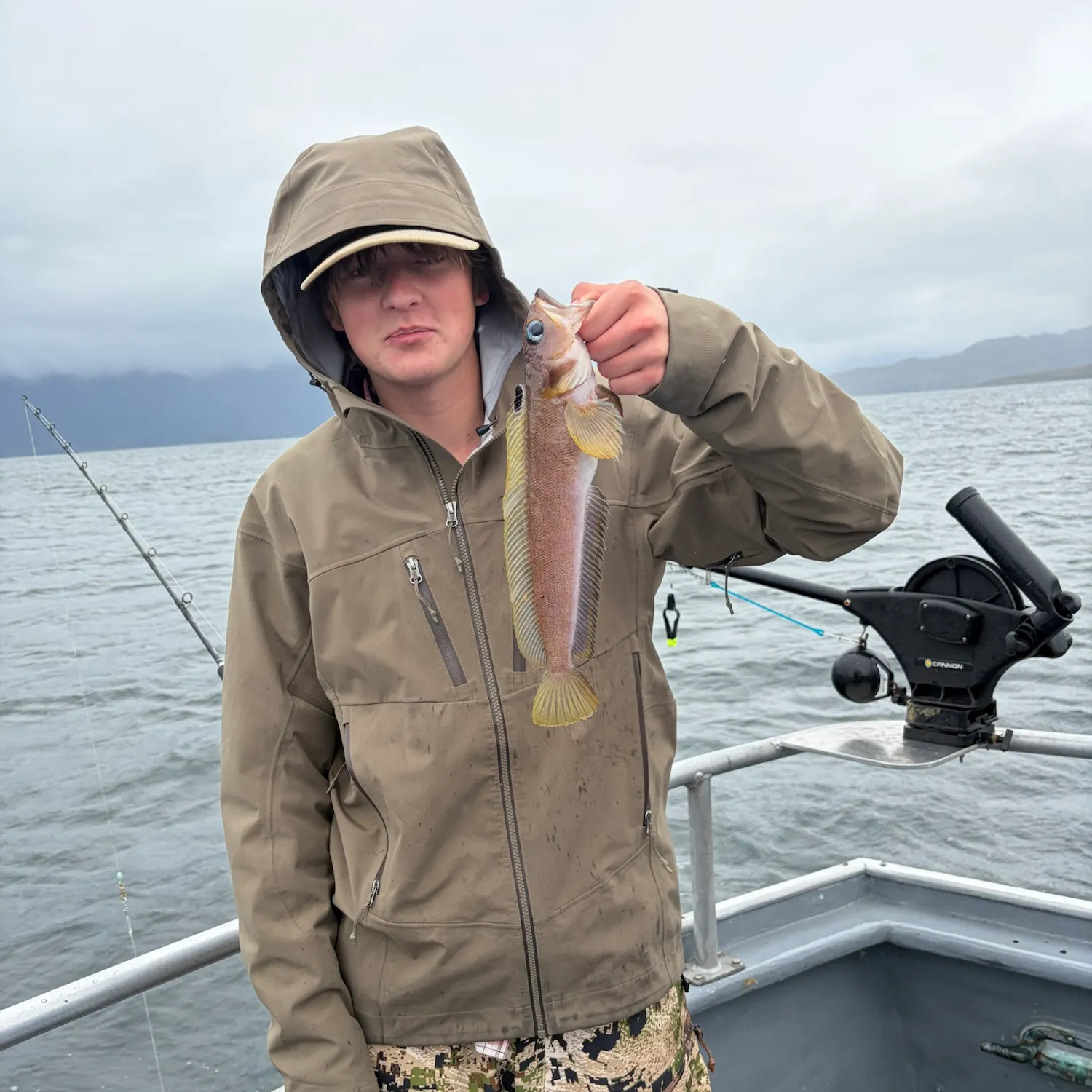 The most recent Searcher catches on Fishbrain