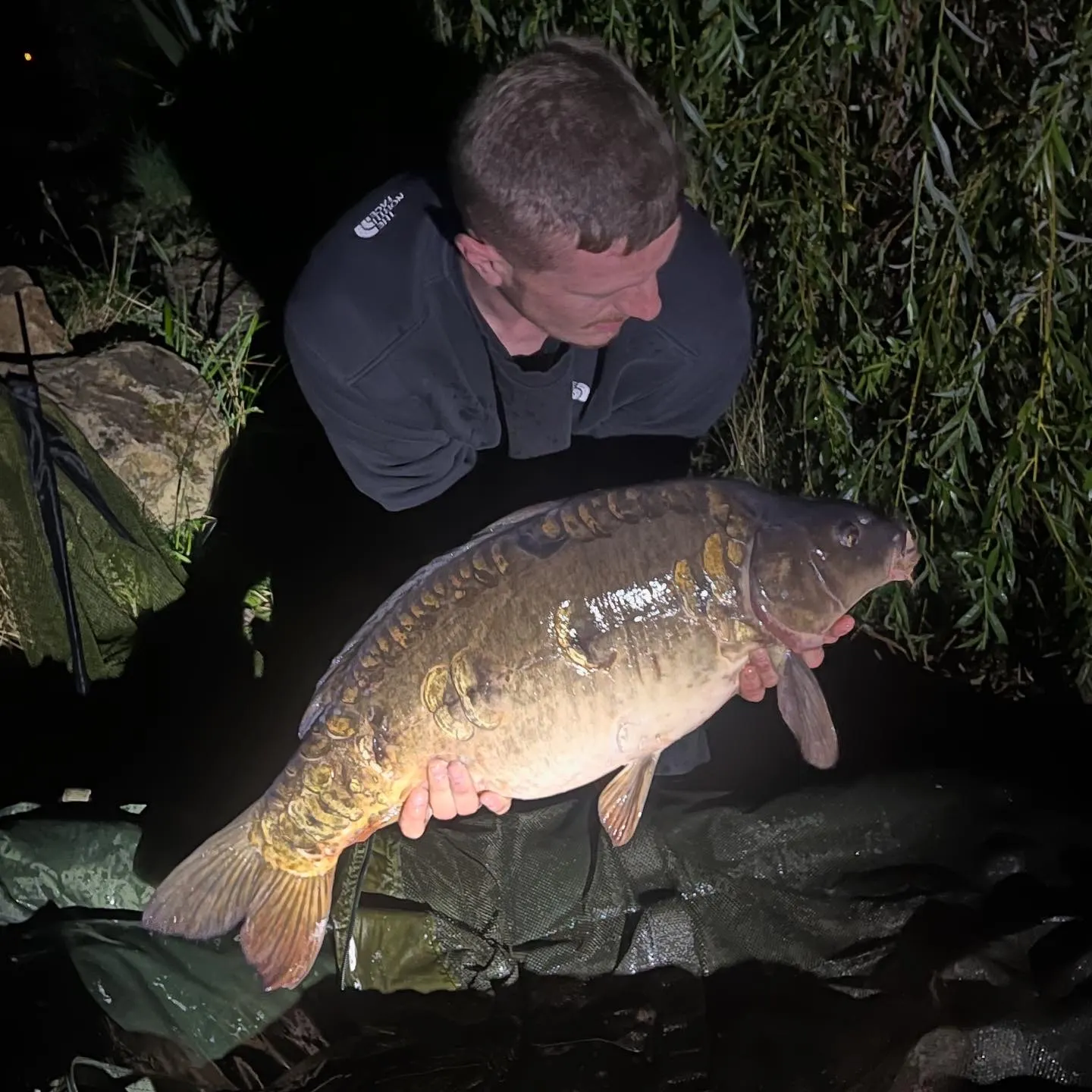 The most recent Mirror carp catches on Fishbrain