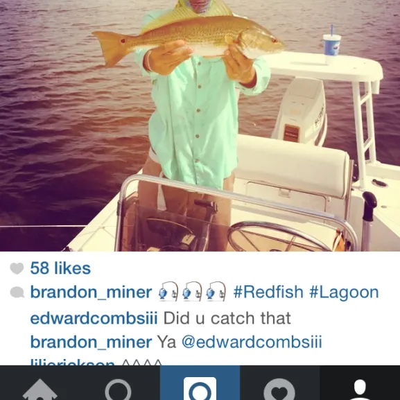 recently logged catches