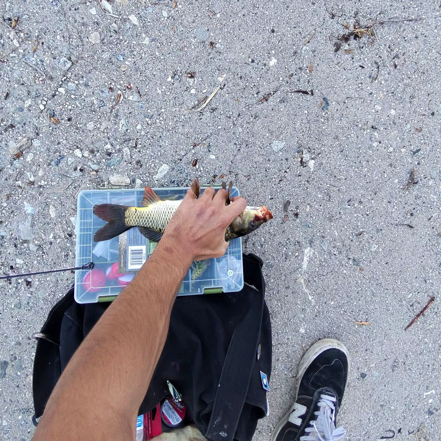 catch