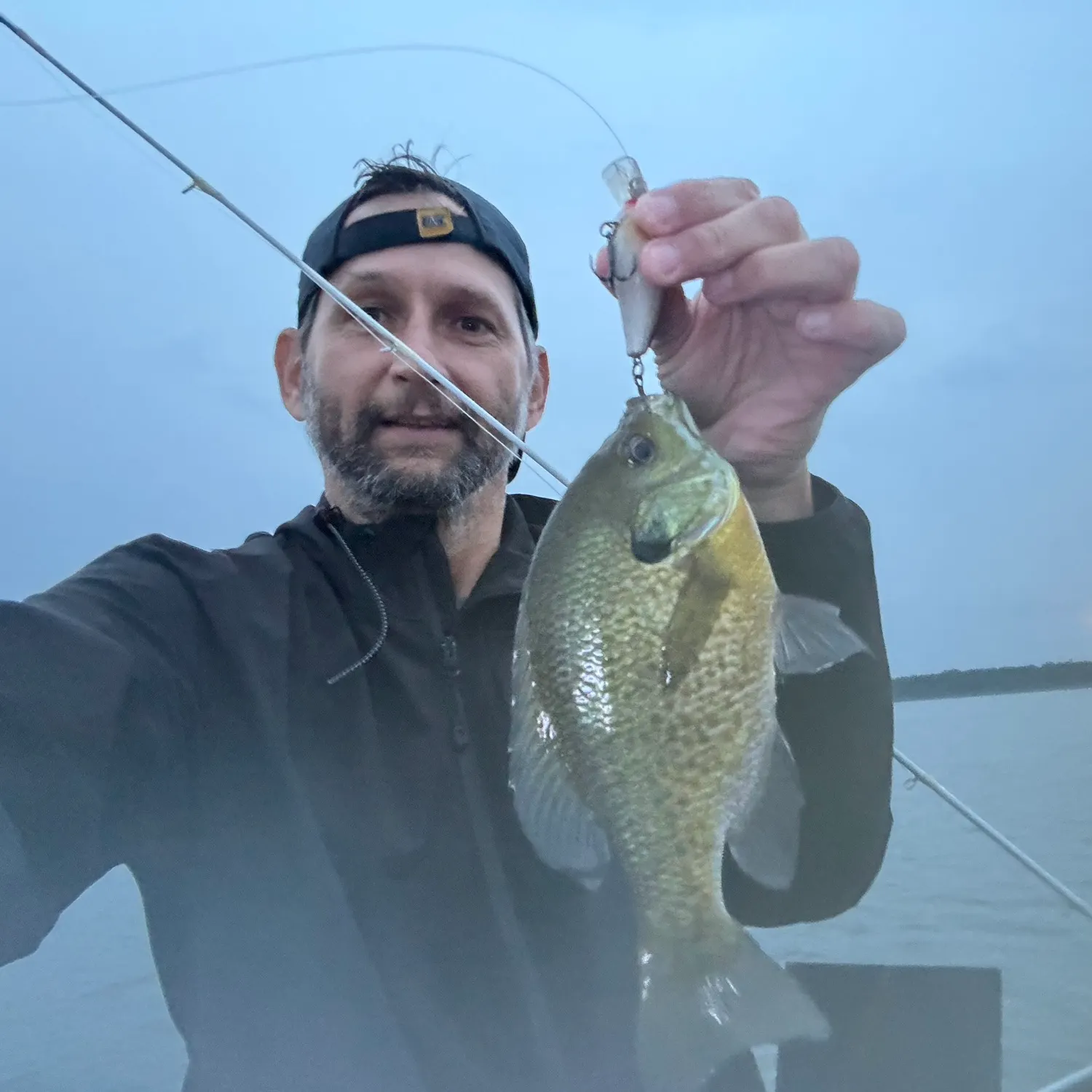 Bluegill caught on Fishbrain