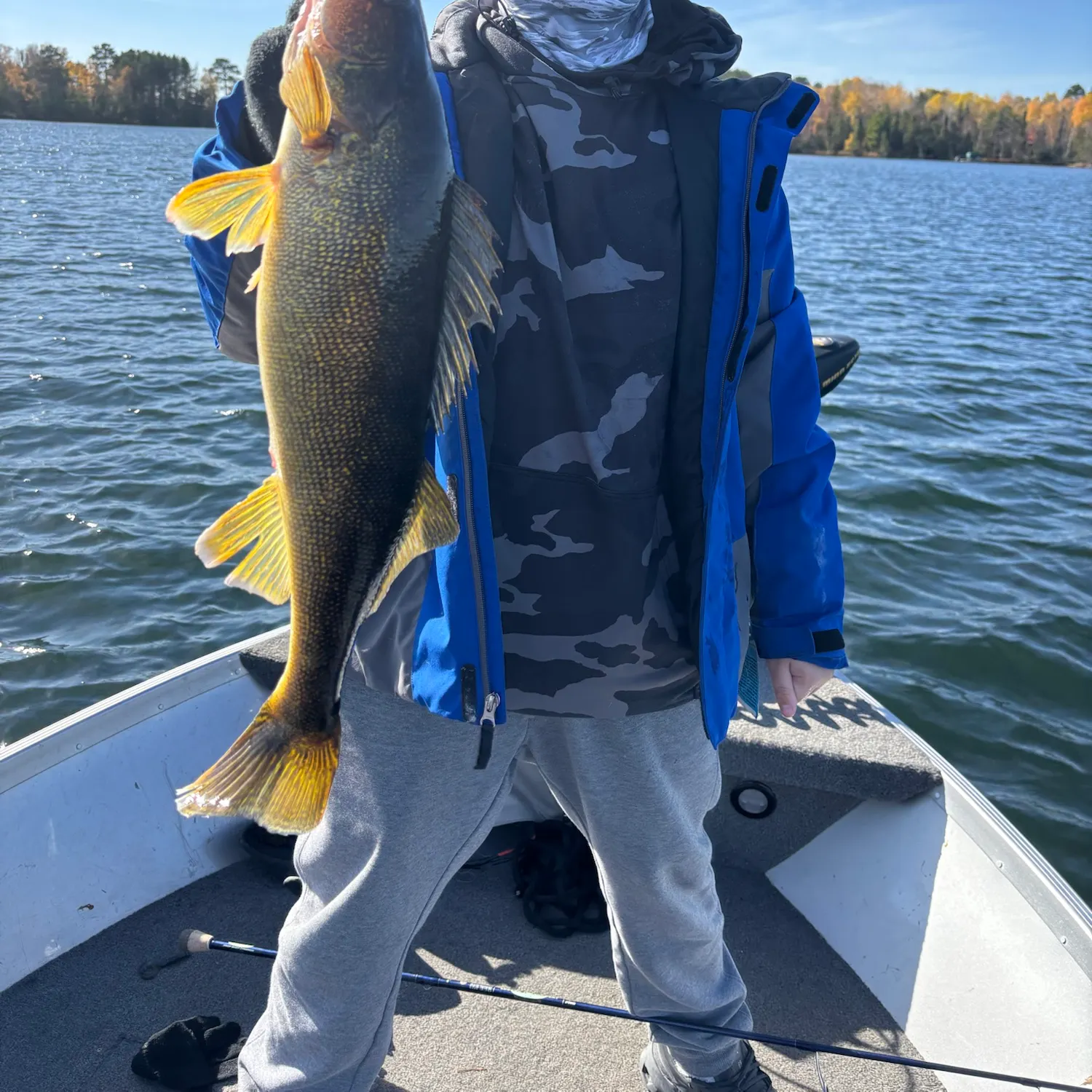 Walleye caught on Fishbrain