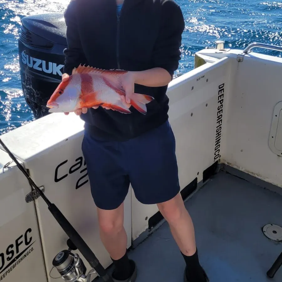 The most recent Emperor red snapper catches on Fishbrain